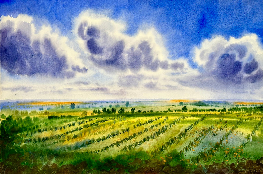 Vineyard – Original Watercolour Painting, Landscape